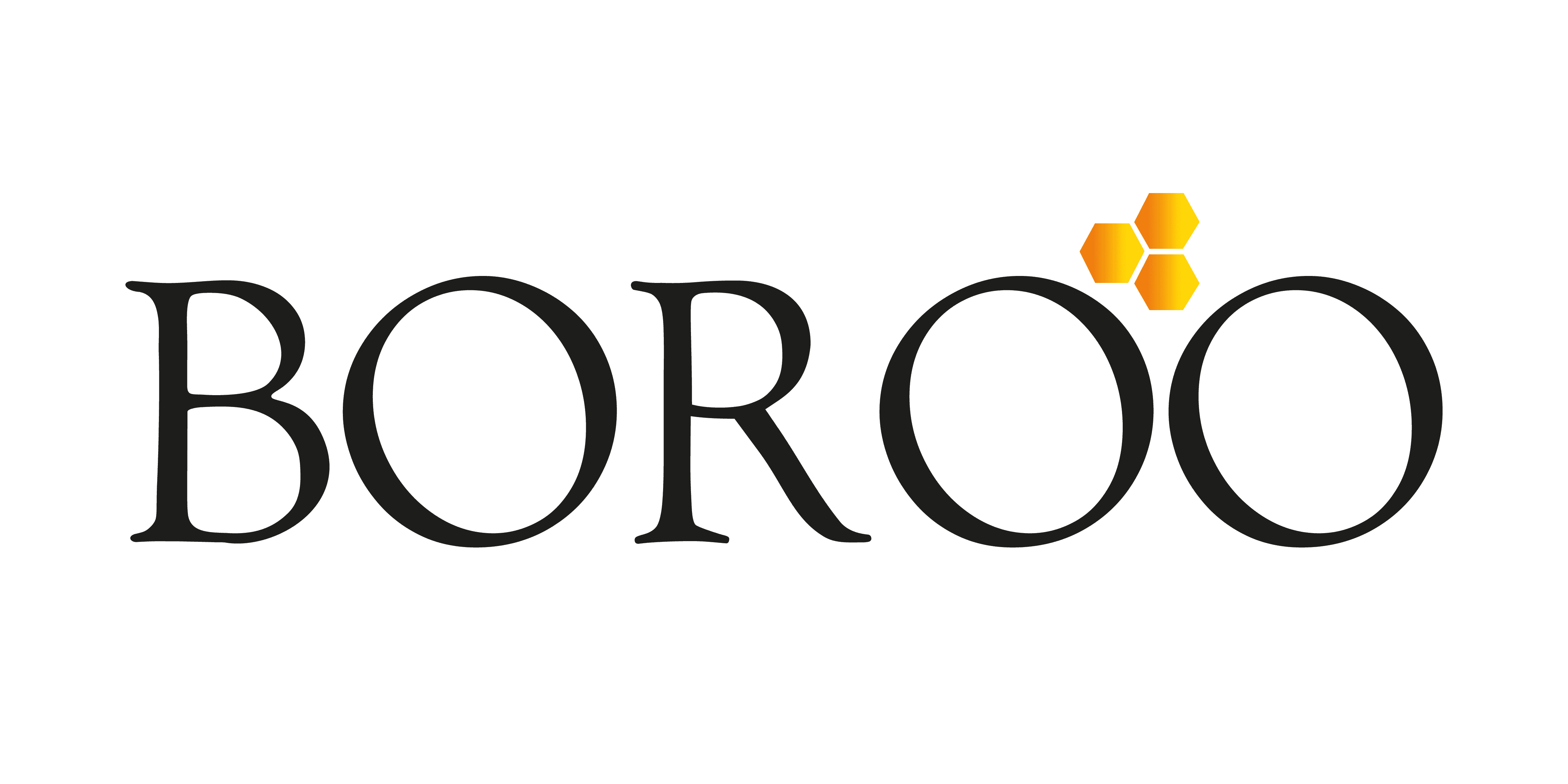 Logo de BOROO