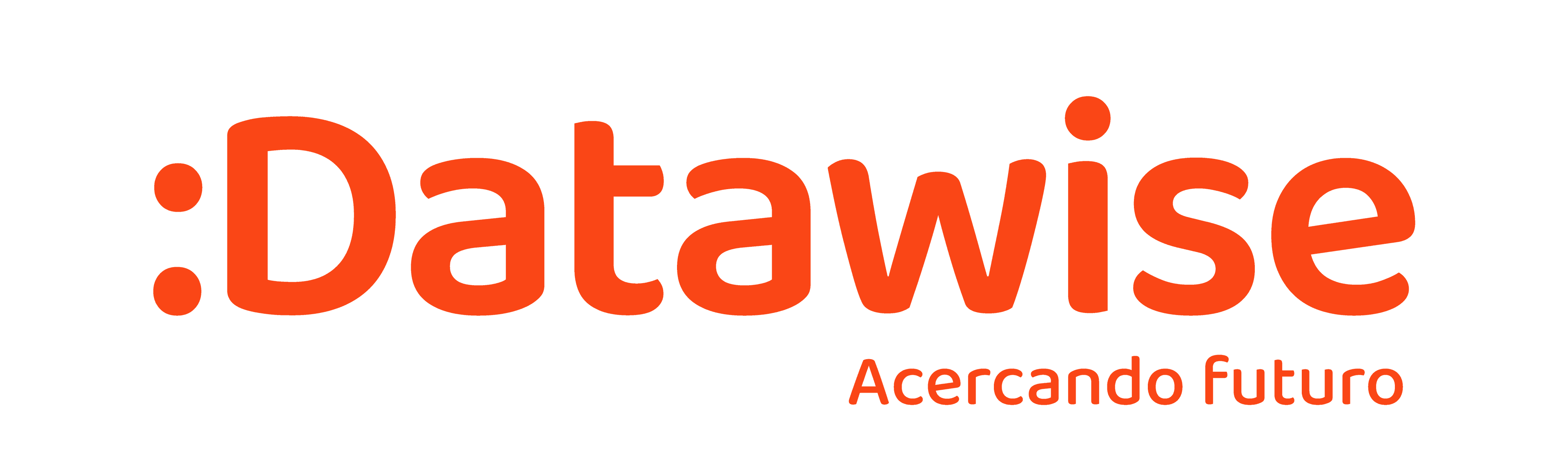 Logo de DATAWISE