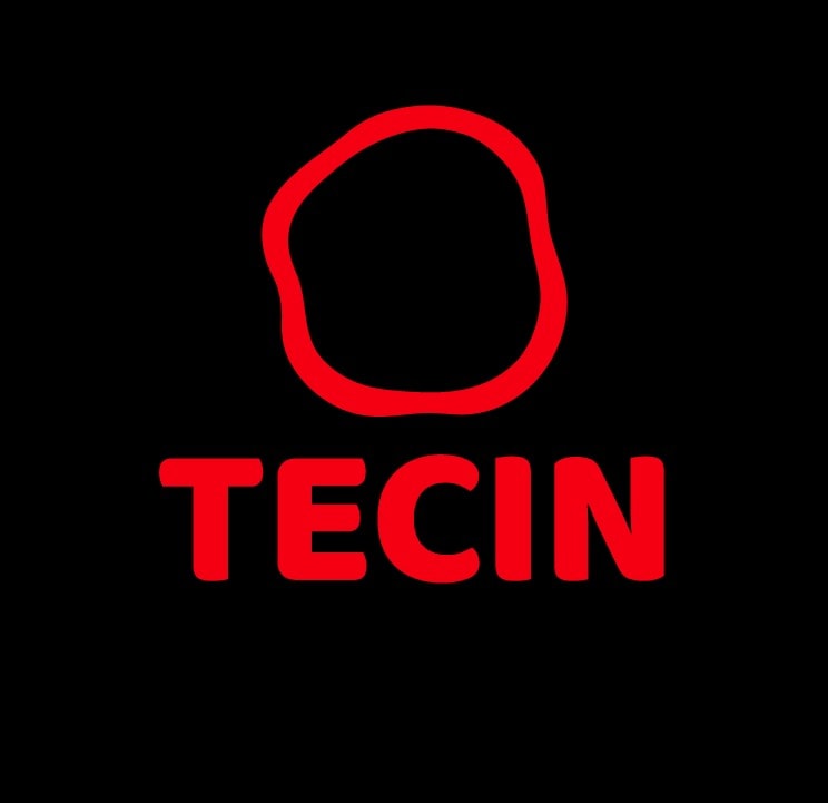 TECIN MINERÍA SRL logo