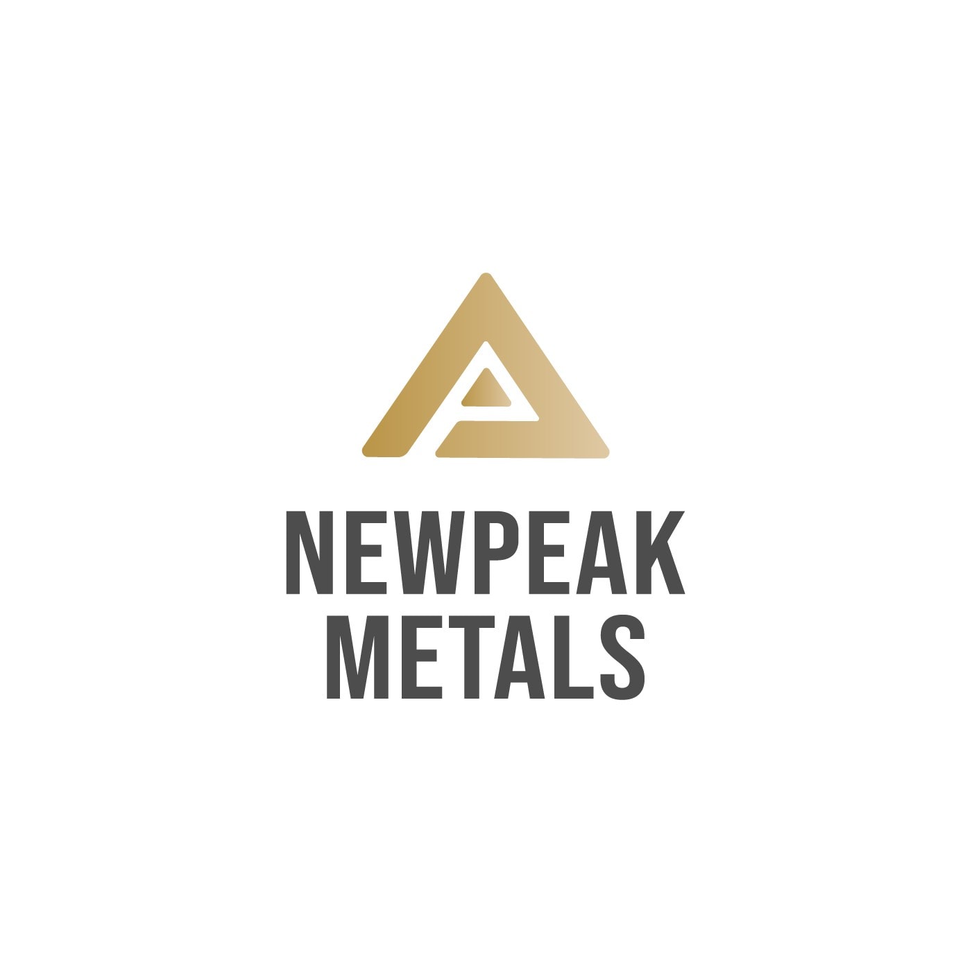 NEW PEAK logo