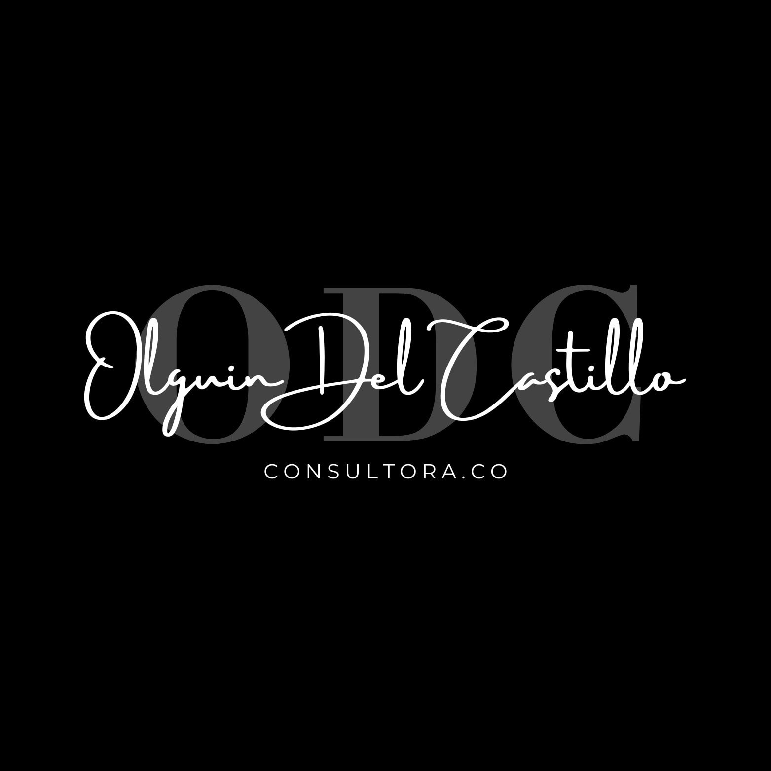 CONSULTORA OLGUÍN logo