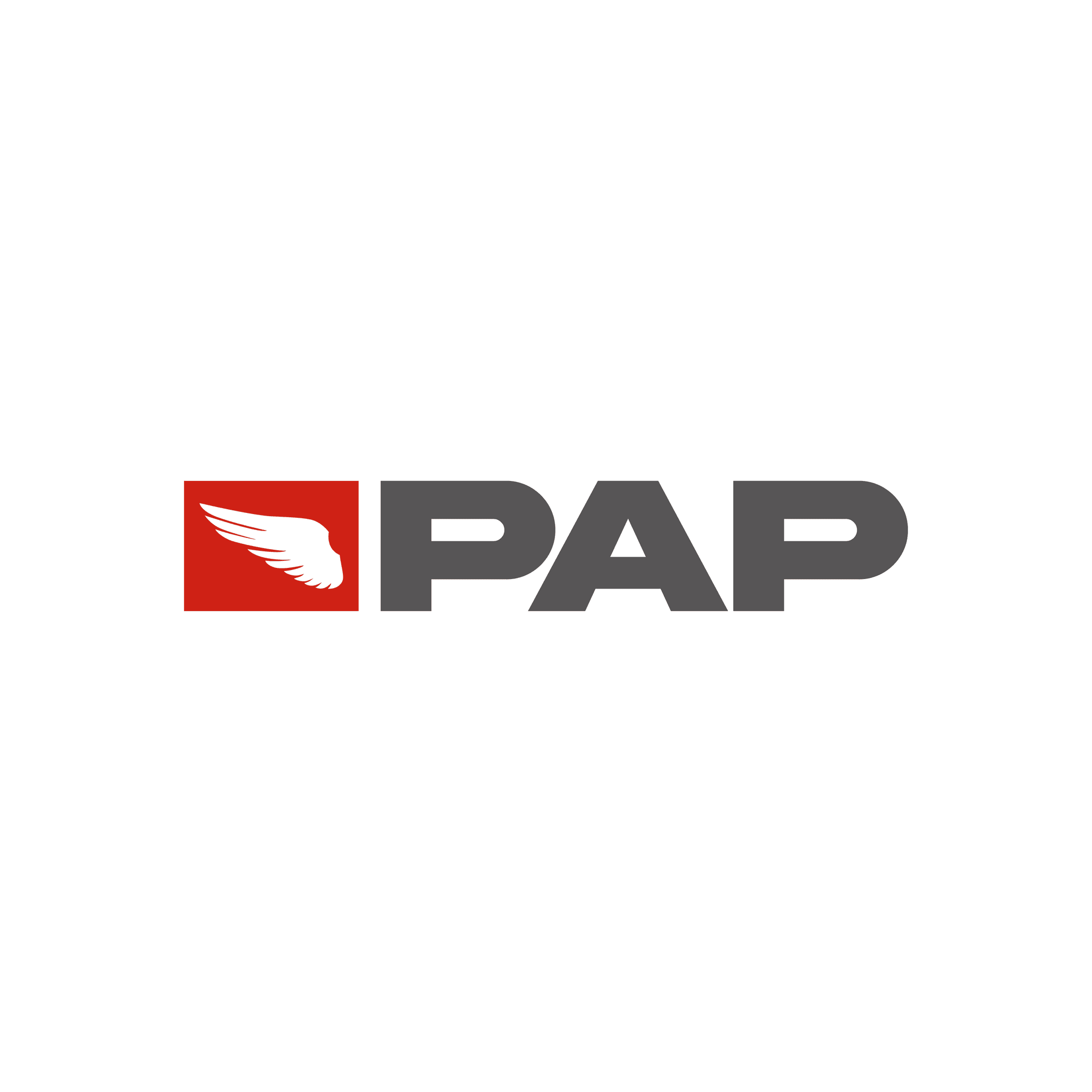 TRANSPORTES PAP logo