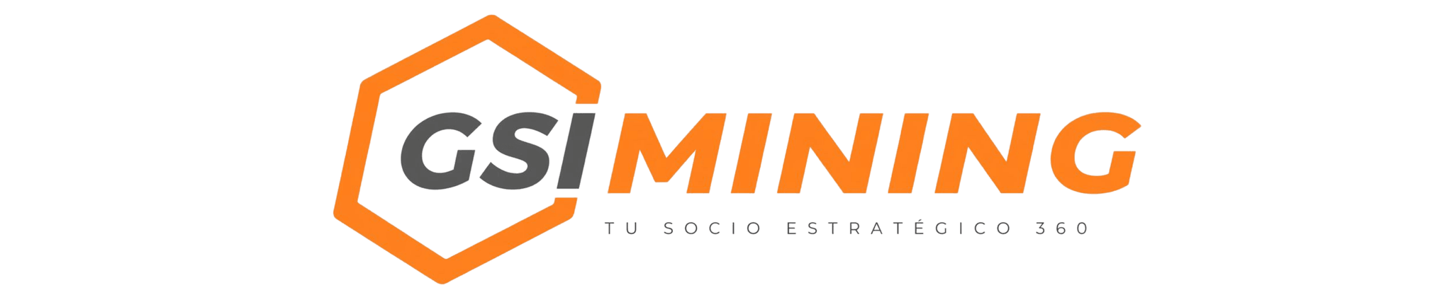 GSI logo