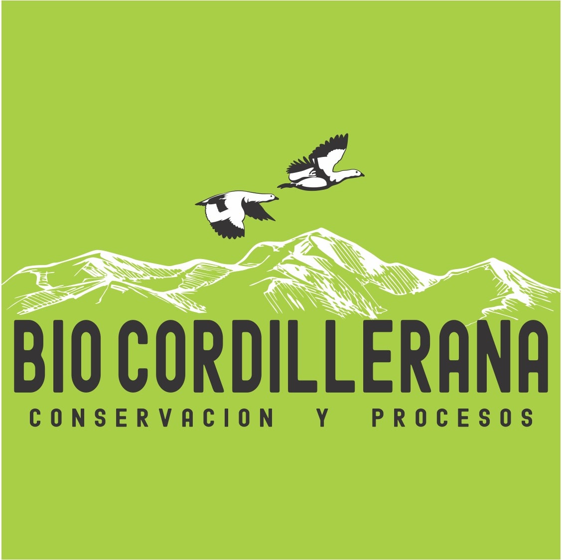 BIOCORDILLERANA logo