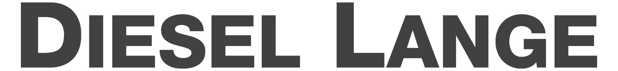 DIESEL LANGE logo
